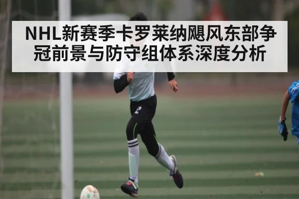 NHL新赛季卡罗莱纳飓风东部争冠前景与防守组体系深度分析 - xingkong
